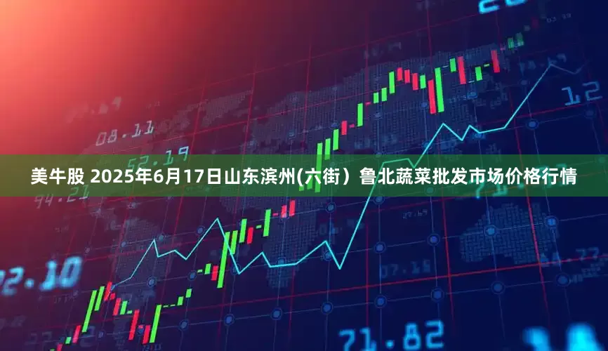 美牛股 2025年6月17日山东滨州(六街）鲁北蔬菜批发市场价格行情