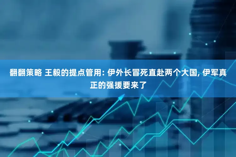 翻翻策略 王毅的提点管用: 伊外长冒死直赴两个大国, 伊军真正的强援要来了