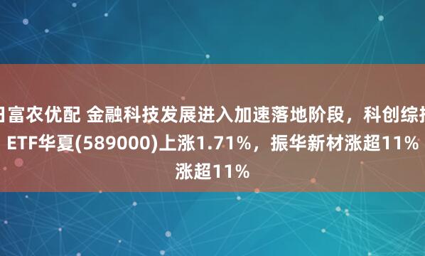 日富农优配 金融科技发展进入加速落地阶段，科创综指ETF华夏(589000)上涨1.71%，振华新材涨超11%