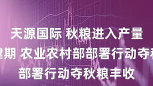 天源国际 秋粮进入产量形成关键期 农业农村部部署行动夺秋粮丰收