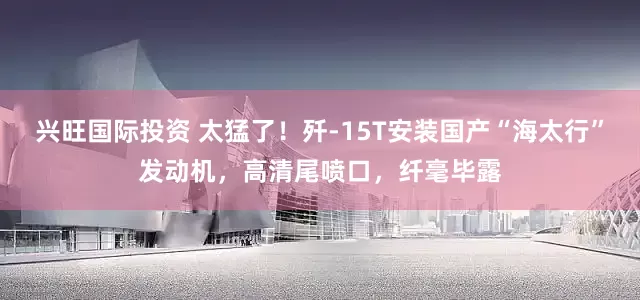 兴旺国际投资 太猛了！歼-15T安装国产“海太行”发动机，高清尾喷口，纤毫毕露