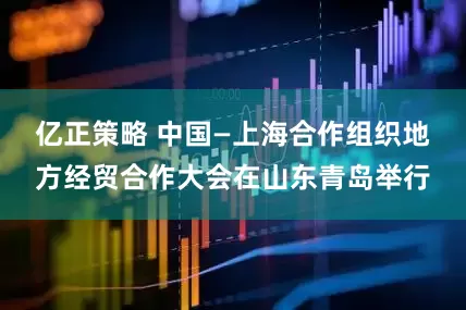 亿正策略 中国—上海合作组织地方经贸合作大会在山东青岛举行