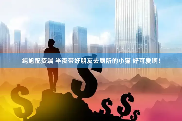 纯旭配资端 半夜带好朋友去厕所的小猫 好可爱啊！
