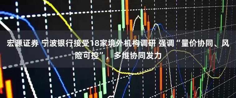 宏源证券 宁波银行接受18家境外机构调研 强调“量价协同、风险可控”，多维协同发力