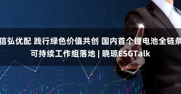 信弘优配 践行绿色价值共创 国内首个锂电池全链条可持续工作组落地 | 晓琼ESGTalk